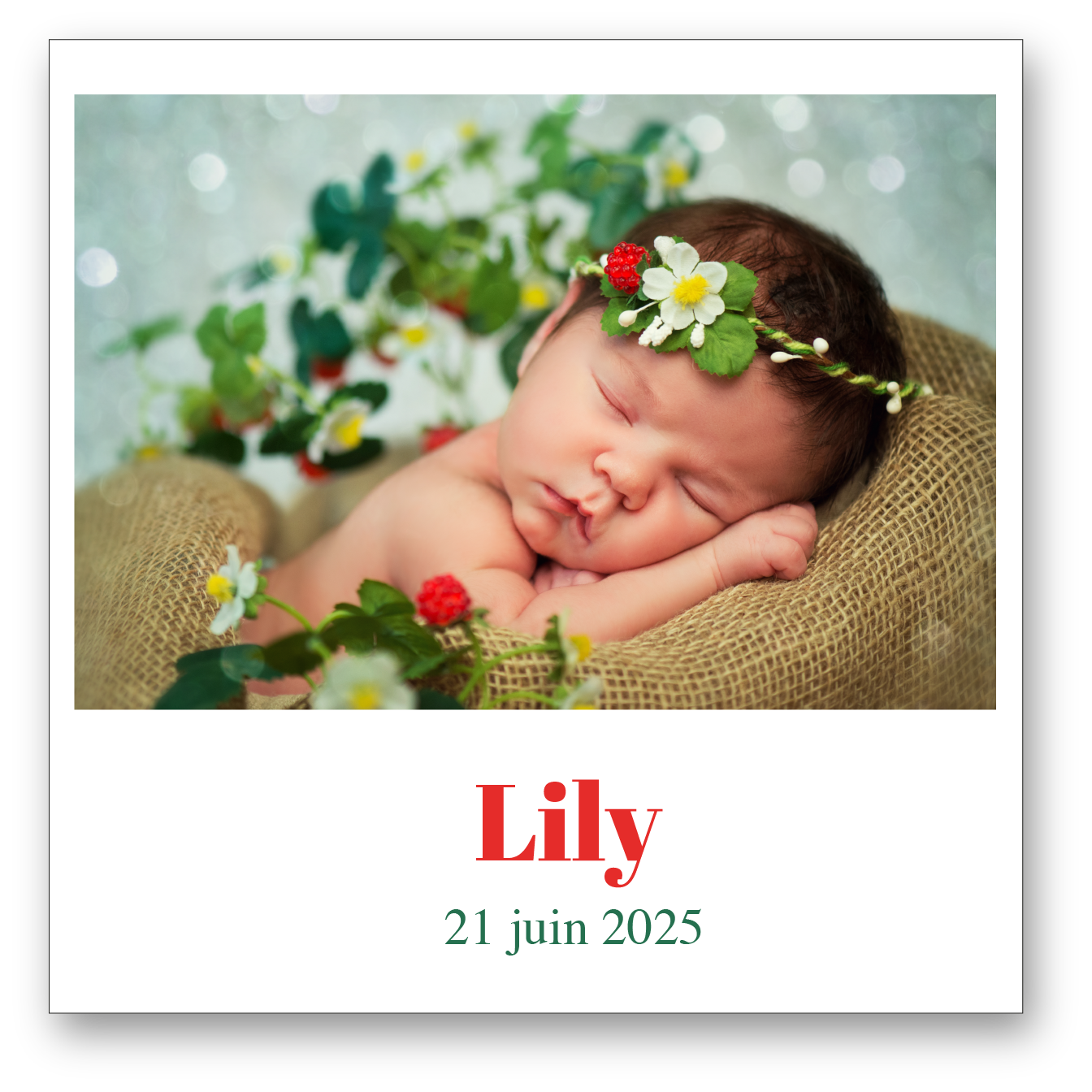 Lily